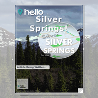 Image for Silver Springs