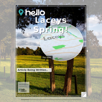 Image for Laceys Spring