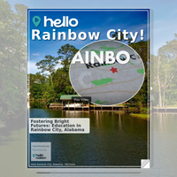 Image for Rainbow City