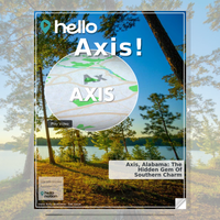 Image for Axis