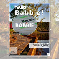 Image for Babbie