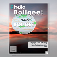 Image for Boligee