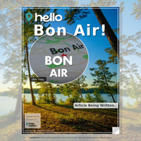 Image for Bon Air