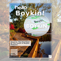 Image for Boykin