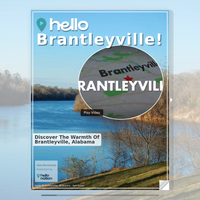 Image for Brantleyville