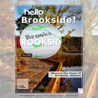 Image for Brookside