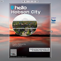 Image for Hobson City