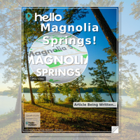 Image for Magnolia Springs