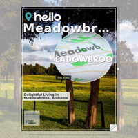 Image for Meadowbrook