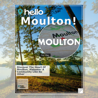 Image for Moulton