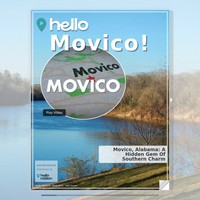 Image for Movico