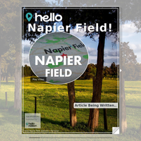 Image for Napier Field