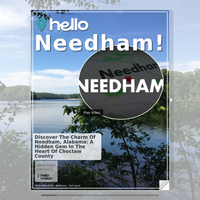 Image for Needham