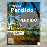 Image for Perdido