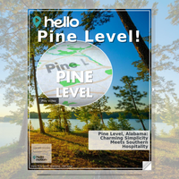 Image for Pine Level