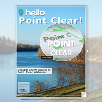 Image for Point Clear