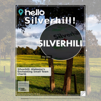 Image for Silverhill