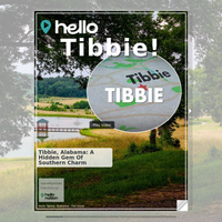 Image for Tibbie