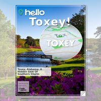 Image for Toxey