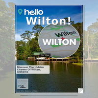 Image for Wilton