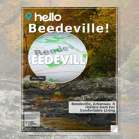 Image for Beedeville