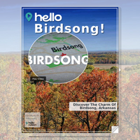 Image for Birdsong