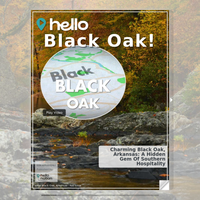 Image for Black Oak