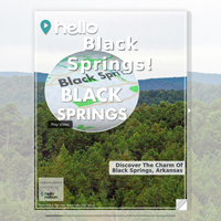 Image for Black Springs