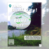 Image for Bluff City