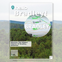 Image for Bradley