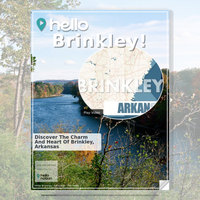 Image for Brinkley