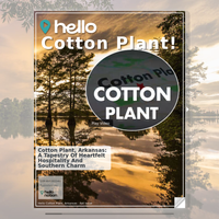 Image for Cotton Plant