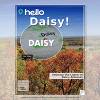 Image for Daisy