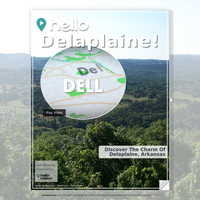 Image for Delaplaine