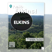 Image for Elkins