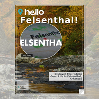 Image for Felsenthal