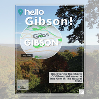 Image for Gibson