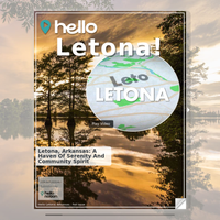 Image for Letona