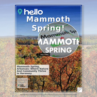 Image for Mammoth Spring