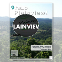 Image for Plainview