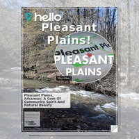 Image for Pleasant Plains