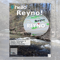 Image for Reyno