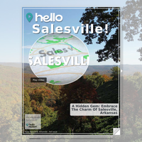 Image for Salesville