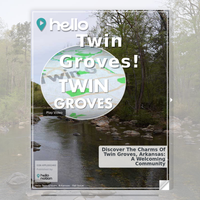 Image for Twin Groves