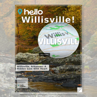 Image for Willisville