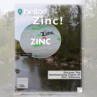 Image for Zinc