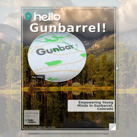 Image for Gunbarrel