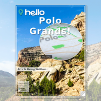 Image for Polo Grands