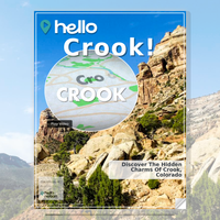 Image for Crook