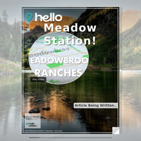 Image for Meadow Station